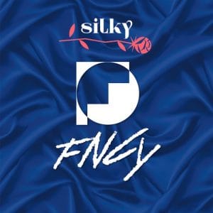 『FNCY - silky』収録の『silky』ジャケット