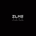 『ZLMS - CITRUS TRAIN』収録の『CITRUS TRAIN』ジャケット