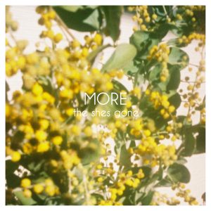 『the shes gone - panorama』収録の『MORE』ジャケット