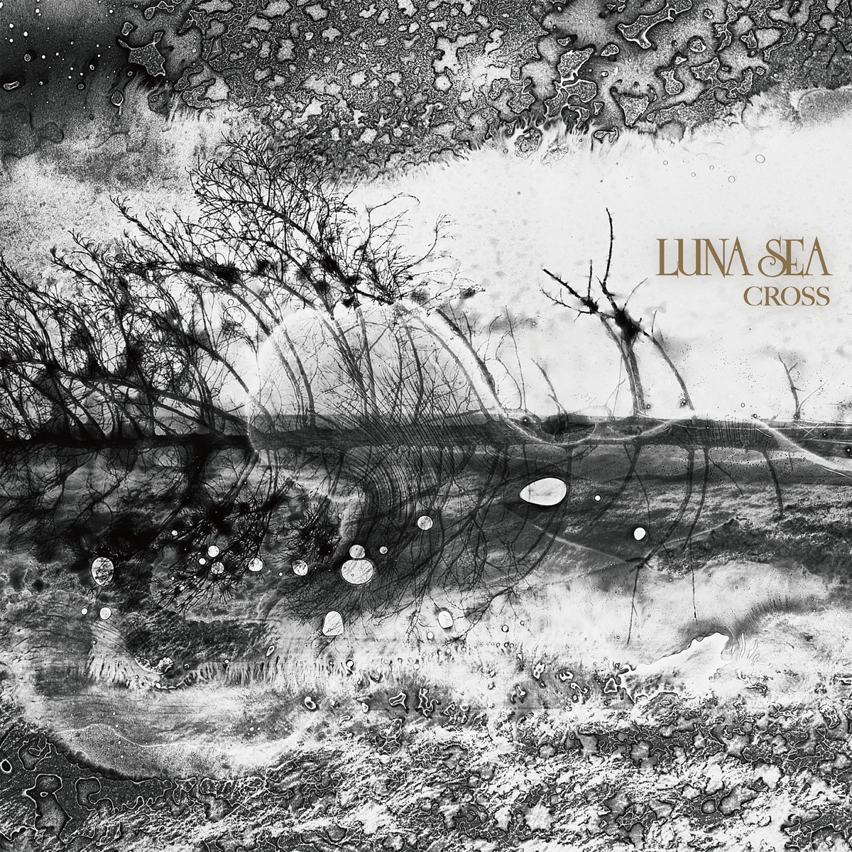 『LUNA SEA - 静寂』収録の『CROSS』ジャケット