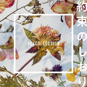 Cover art for『ACE COLLECTION - Yakusoku no Shiori』from the release『Yakusoku no Shiori』