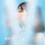 『関取花 - はじまりの時』収録の『きっと私を待っている』ジャケット