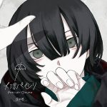 『大沼パセリ - replay』収録の『ave』ジャケット