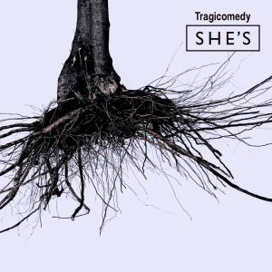 Cover art for『SHE'S - Blowing in the Wind』from the release『Tragicomedy』