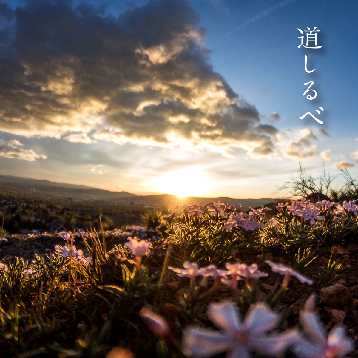道しるべ 歌詞 絢香 Lyrical Nonsense 歌詞リリ 道しるべ 歌詞 絢香 Lyrical Nonsense 歌詞リリ
