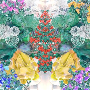 Cover art for『Novelbright - Yumehanabi』from the release『WONDERLAND』