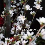 『QUADRANGLE - 溺愛』収録の『溺愛』ジャケット