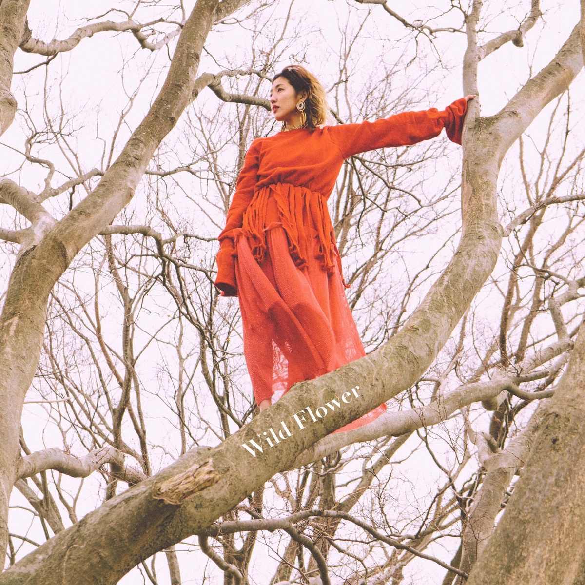 Wild Flower 歌詞 Haruna Lyrical Nonsense 歌詞リリ