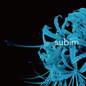 Cover art for『KAMI WA SAIKORO WO FURANAI - Shiro ni Tokeru』from the release『subim』