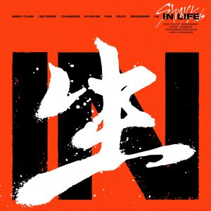 Cover art for『Stray Kids - Back Door』from the release『IN LIFE』
