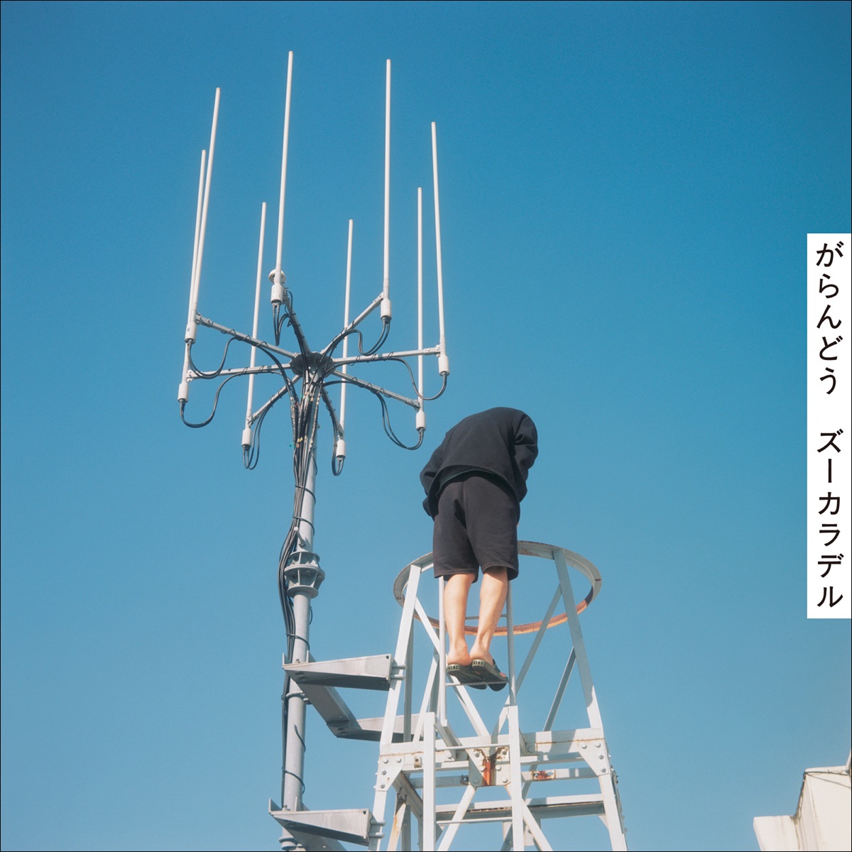 Tapioca 歌詞 ズーカラデル Lyrical Nonsense 歌詞リリ Tapioca 歌詞 ズーカラデル Lyrical Nonsense 歌詞リリ
