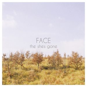 『the shes gone - alcohol』収録の『FACE』ジャケット