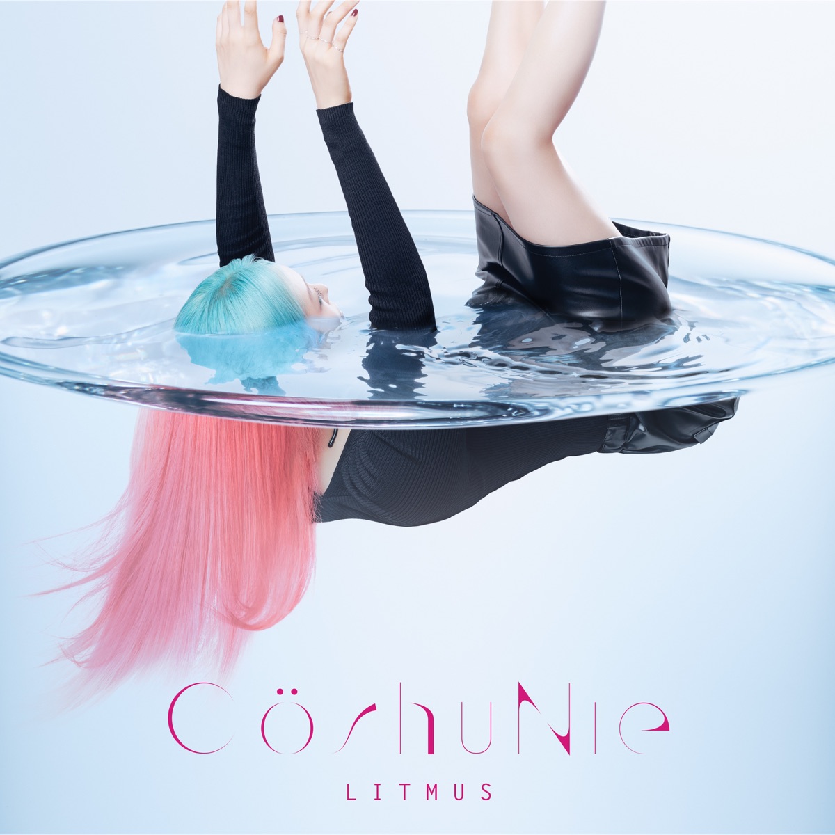 Cover for『Cö shu Nie - Fool in tank』from the release『LITMUS』