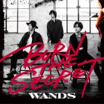 『WANDS - 賞味期限切れ I Love you』収録の『BURN THE SECRET』ジャケット