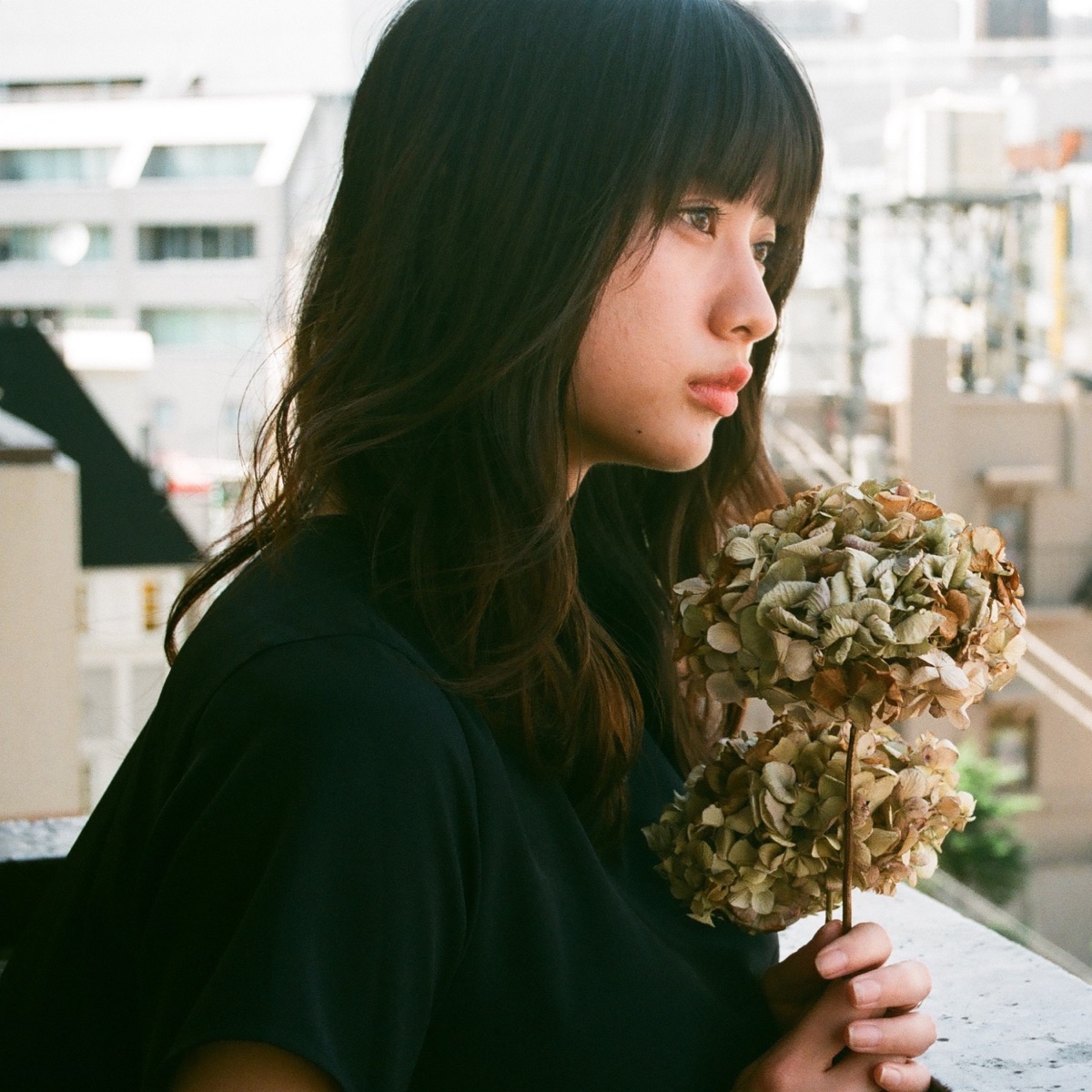 Cover art for『Yuuri - Dry Flower』from the release『Dry Flower』
