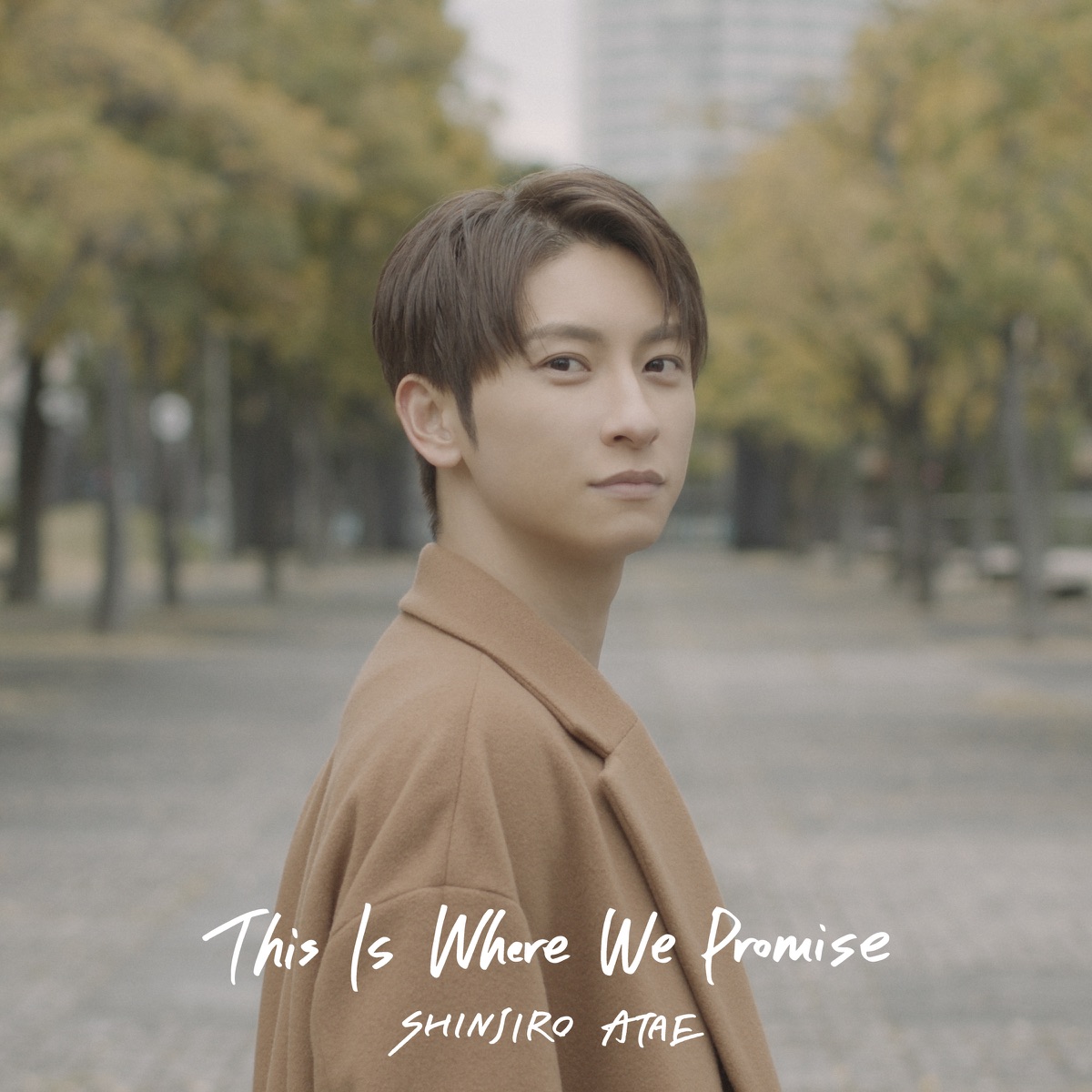 『SHINJIRO ATAE (from AAA) - This Is Where We Promise』収録の『This Is Where We Promise』ジャケット