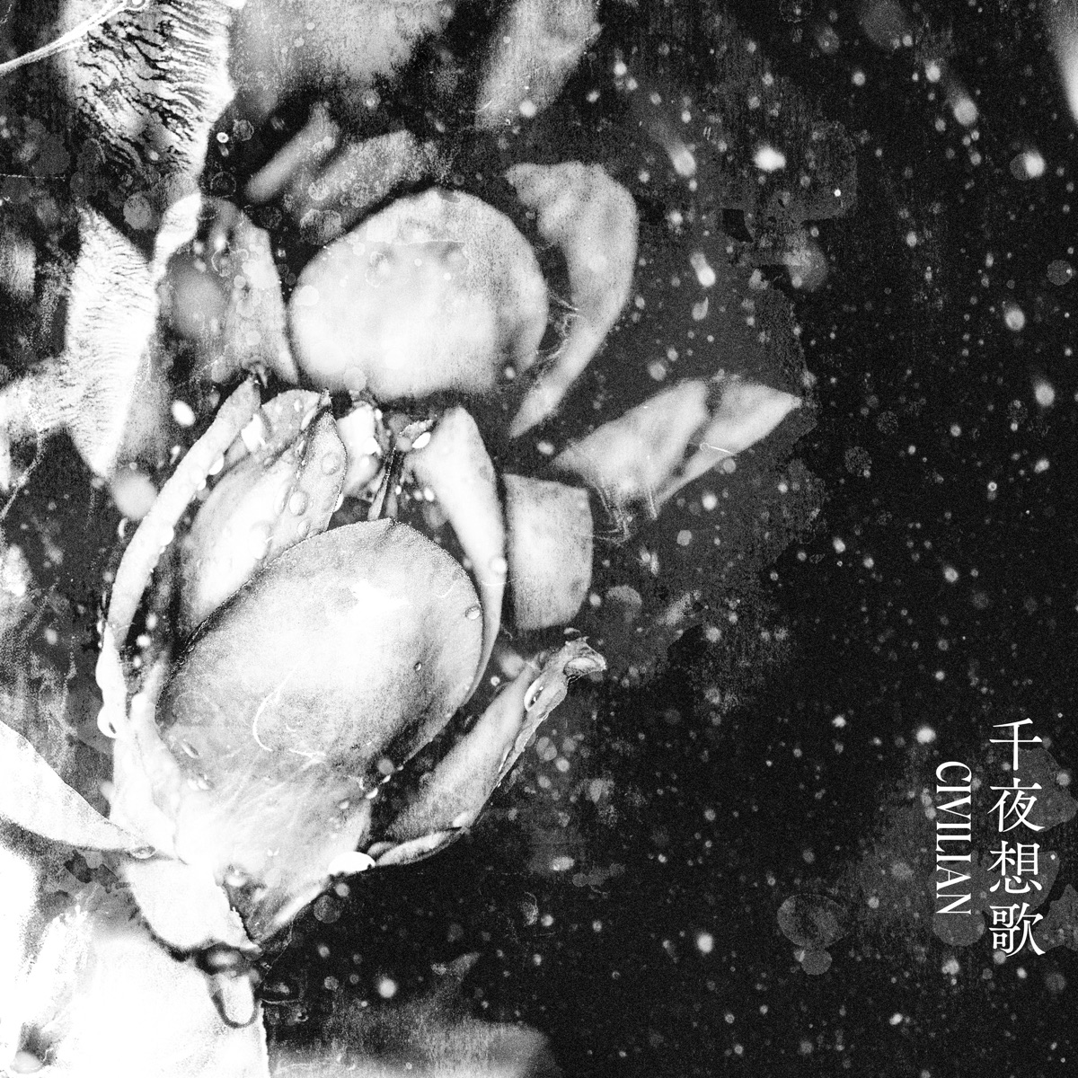 千夜想歌 歌詞 Civilian Lyrical Nonsense 歌詞リリ 千夜想歌 歌詞 Civilian Lyrical Nonsense 歌詞リリ