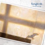 『Homecomings - Songbirds』収録の『Songbirds』ジャケット