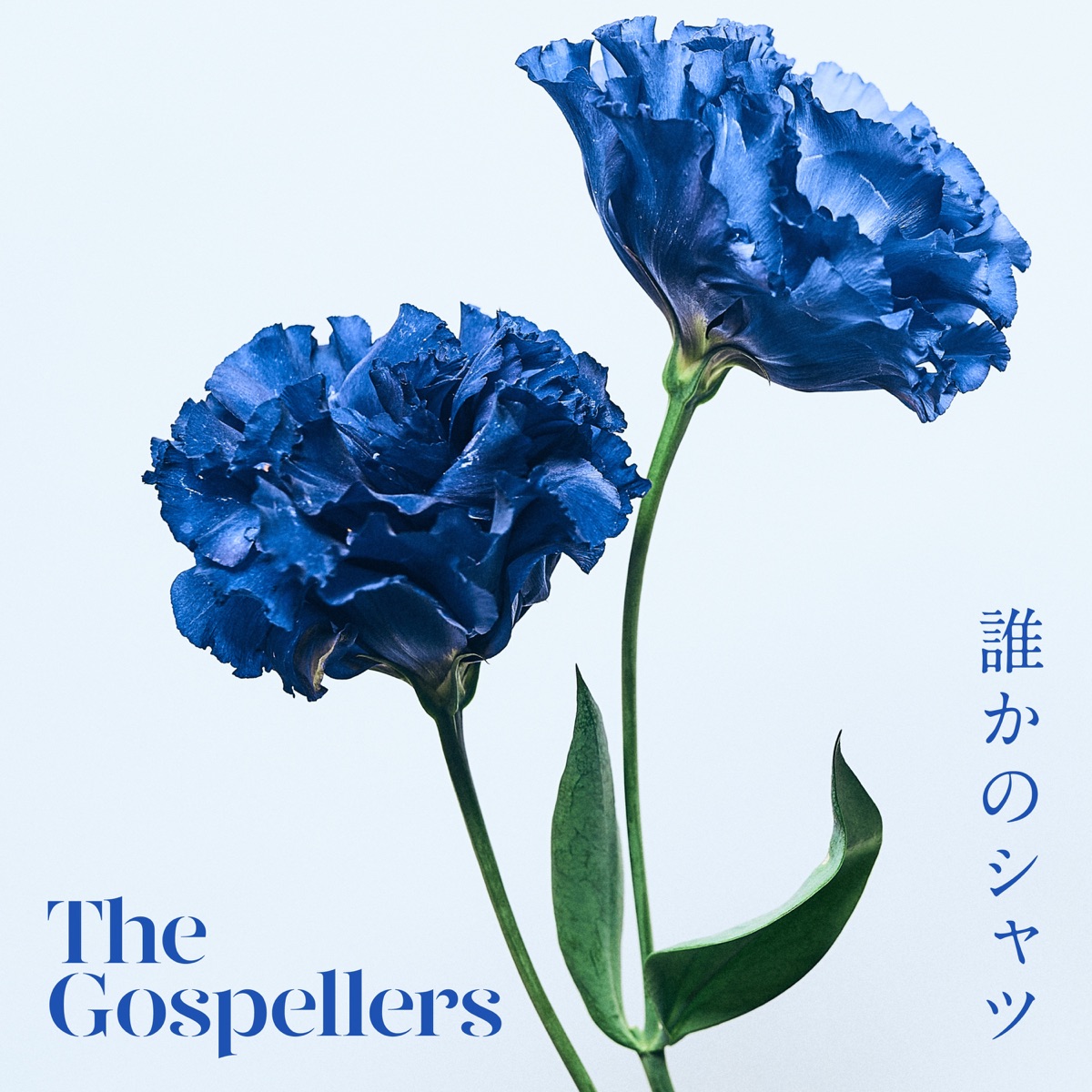 誰かのシャツ 歌詞 ゴスペラーズ Lyrical Nonsense 歌詞リリ 誰かのシャツ 歌詞 ゴスペラーズ Lyrical Nonsense 歌詞リリ