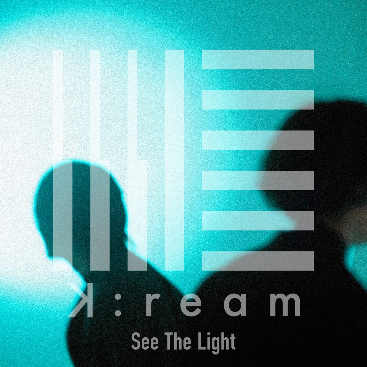 SEE THE LIGHT | English Meaning - Cambridge