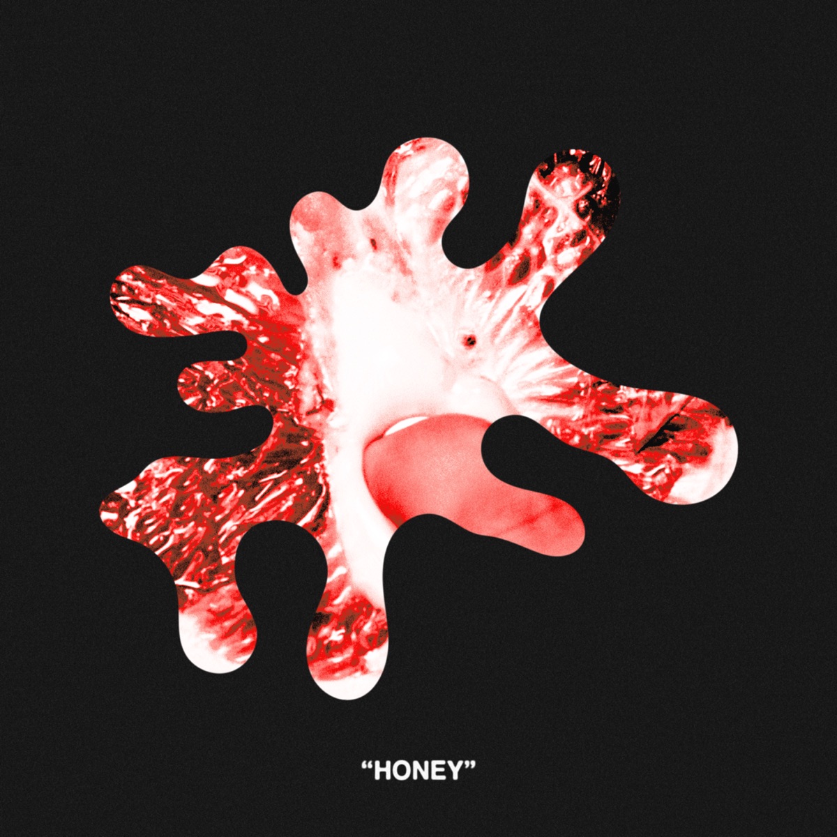 『HIYADAM - Honey (feat. Yo-Sea) 歌詞』収録の『Honey (feat. Yo-Sea)』ジャケット