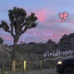 『vividboooy - pinkcloud』収録の『pinkcloud』ジャケット