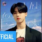 『HAN (Stray Kids) - Wish You Back』収録の『Wish You Back』ジャケット