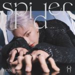 Cover art for『HOSHI - Spider』from the release『Spider