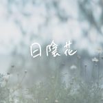 『森山祐衣 - 日陰花』収録の『日陰花』ジャケット
