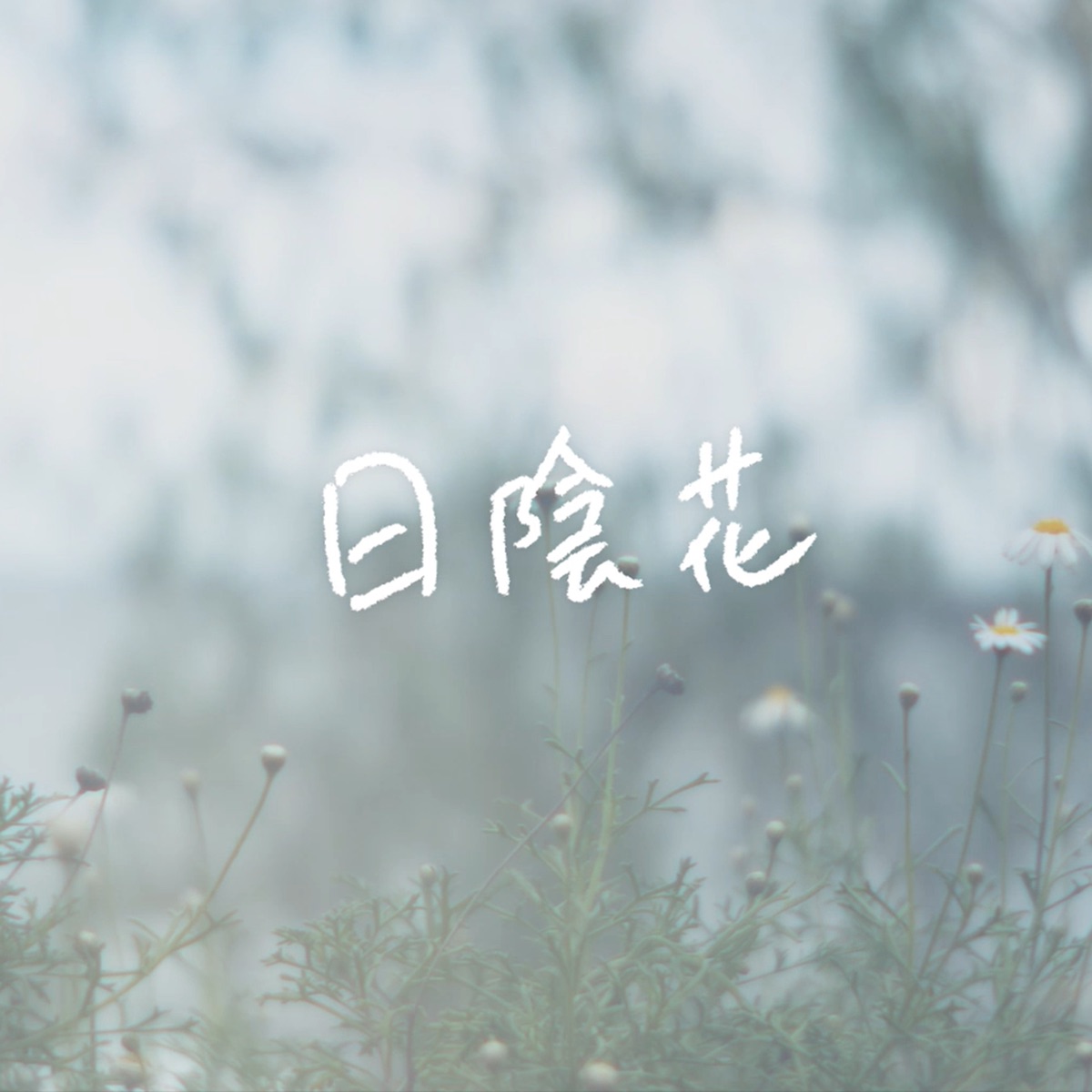 日陰花 歌詞 森山祐衣 Lyrical Nonsense 歌詞リリ 日陰花 歌詞 森山祐衣 Lyrical Nonsense 歌詞リリ