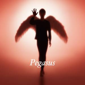 『布袋寅泰 - Pegasus』収録の『Pegasus』ジャケット
