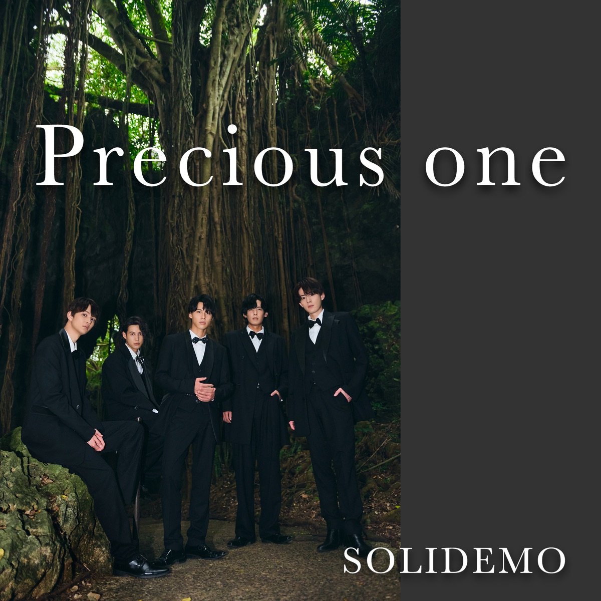 『SOLIDEMO - Precious one』収録の『Precious one』ジャケット