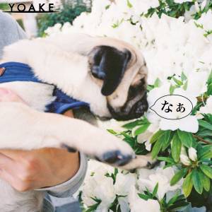 Cover art for『YOAKE - Naa』from the release『Naa』