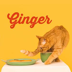 『TOMOO - Ginger』収録の『Ginger』ジャケット