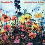 『Nothing's Carved in Stone - Beautiful Life』収録の『Beautiful Life』ジャケット