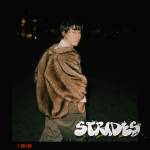 『小袋成彬 - Rally』収録の『Strides』ジャケット