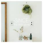 Cover art for『the shes gone - Make my day』from the release『SINCE