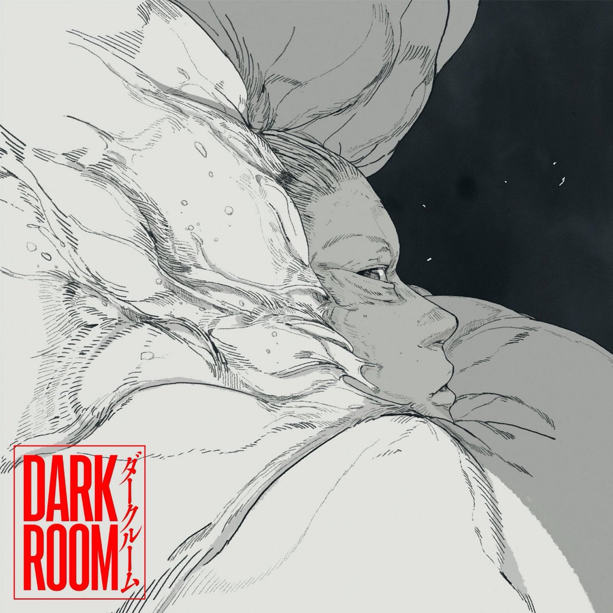Cover art for『Dios - ダークルーム』from the release『Darkroom
