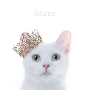 『Aimer - March of Time』収録の『BEST SELECTION 