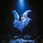 『Aimer - 誰か、海を。』収録の『誰か、海を。』ジャケット