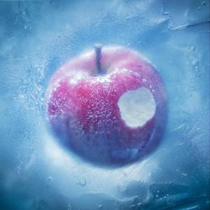 『Aimer - 凍えそうな季節から』収録の『凍えそうな季節から』ジャケット