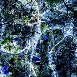 Cover art for『Aimer - Through My Blood ＜AM＞』from the release『ninelie EP』