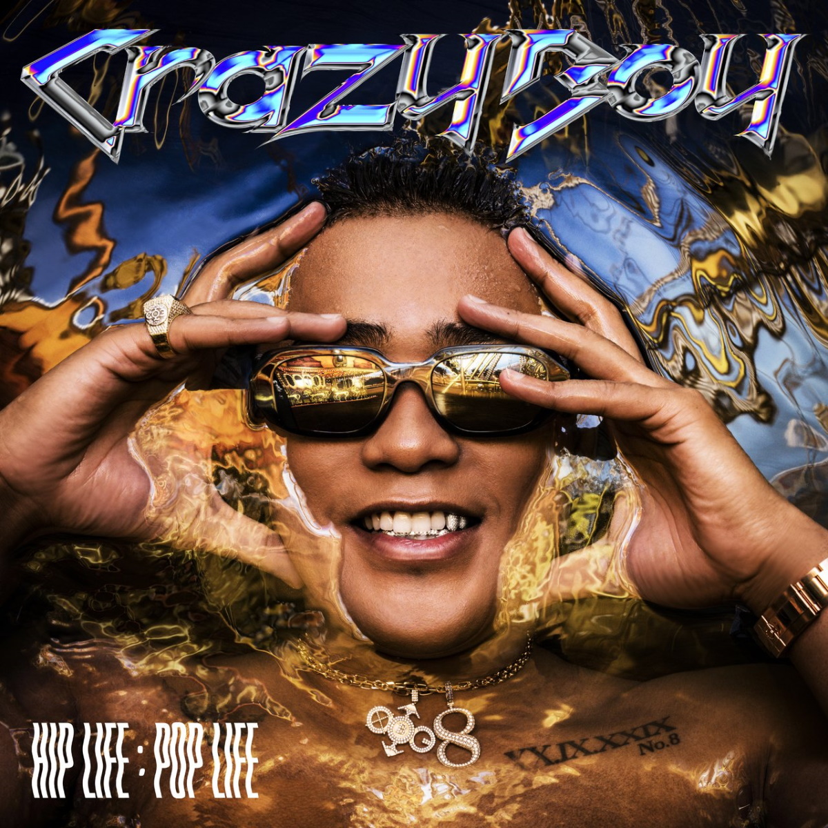 『CrazyBoy - Pure Water 歌詞』収録の『HIP LIFE：POP LIFE』ジャケット
