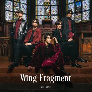 『SOLIDEMO - Wing Fragment』収録の『Wing Fragment』ジャケット