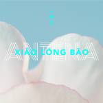 Cover art for『ANTENA - 小籠包』from the release『Xiǎo Lóng Bāo