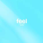 『ソウルズ - feel』収録の『feel』ジャケット