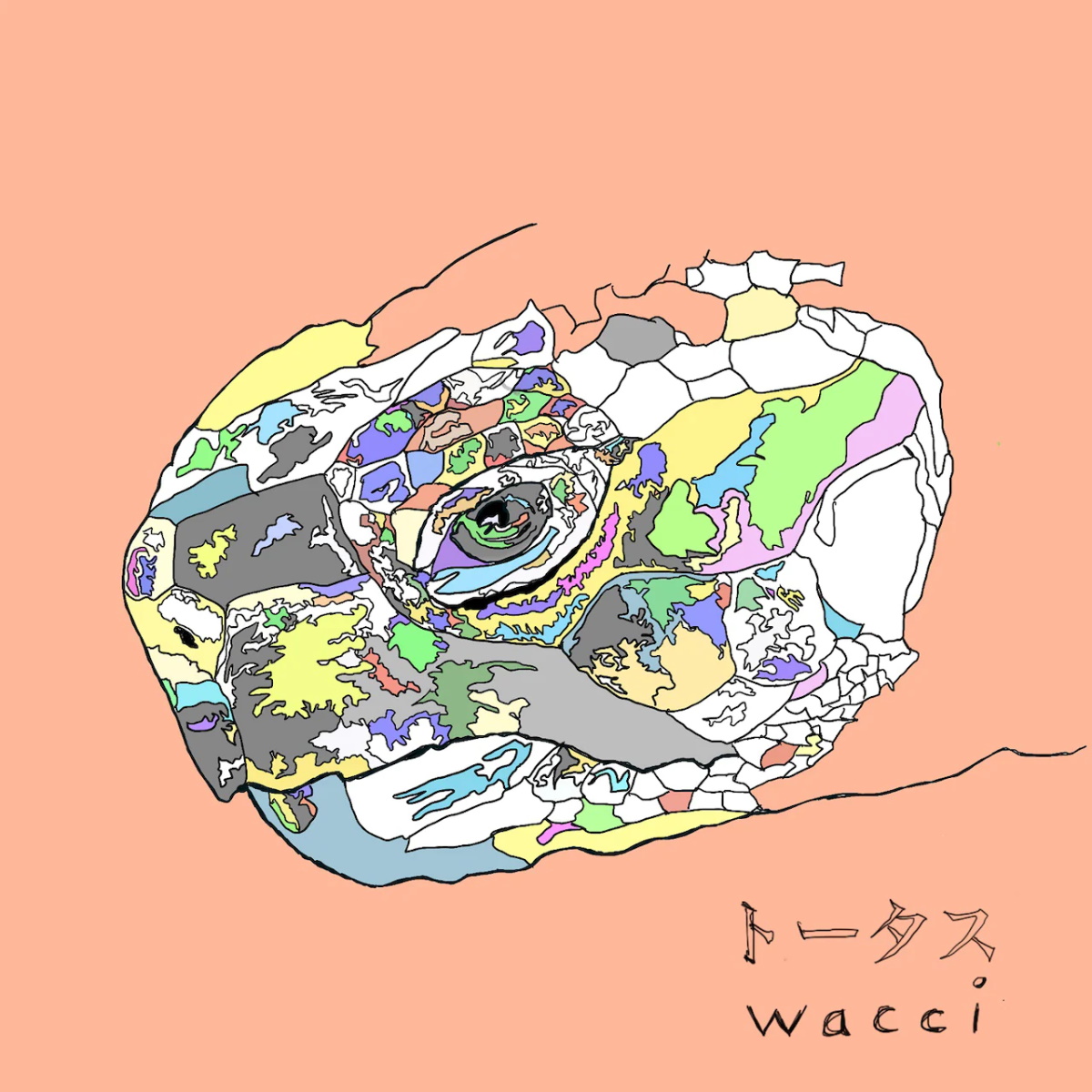 Cover art for『wacci - トータス』from the release『Tortoise