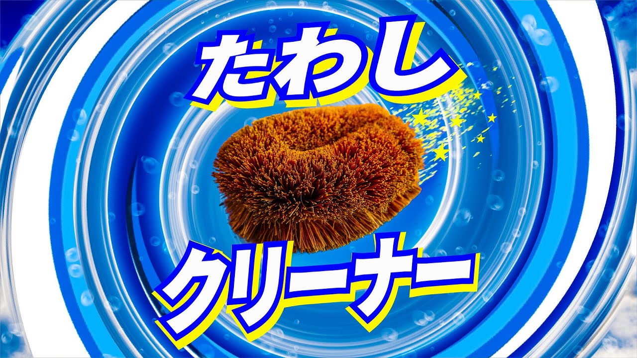 Cover for『ATOLS - Tawashi Cleaner』from the release『Tawashi Cleaner』