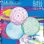 『PELICAN FANCLUB - 新世解』収録の『解放のヒント』ジャケット