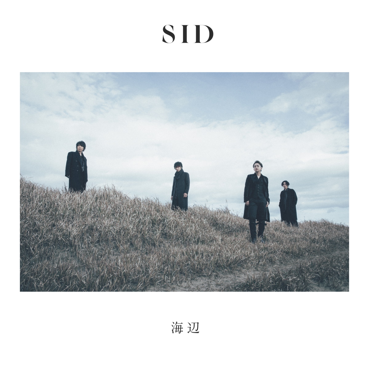Cover art for『SID - Ekitai』from the release『Umibe』